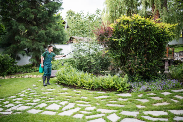 Best Affordable Pest Control Services  in Keokea, HI