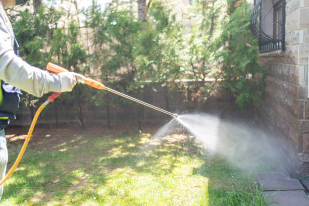 Best Flea Control Services  in Keokea, HI